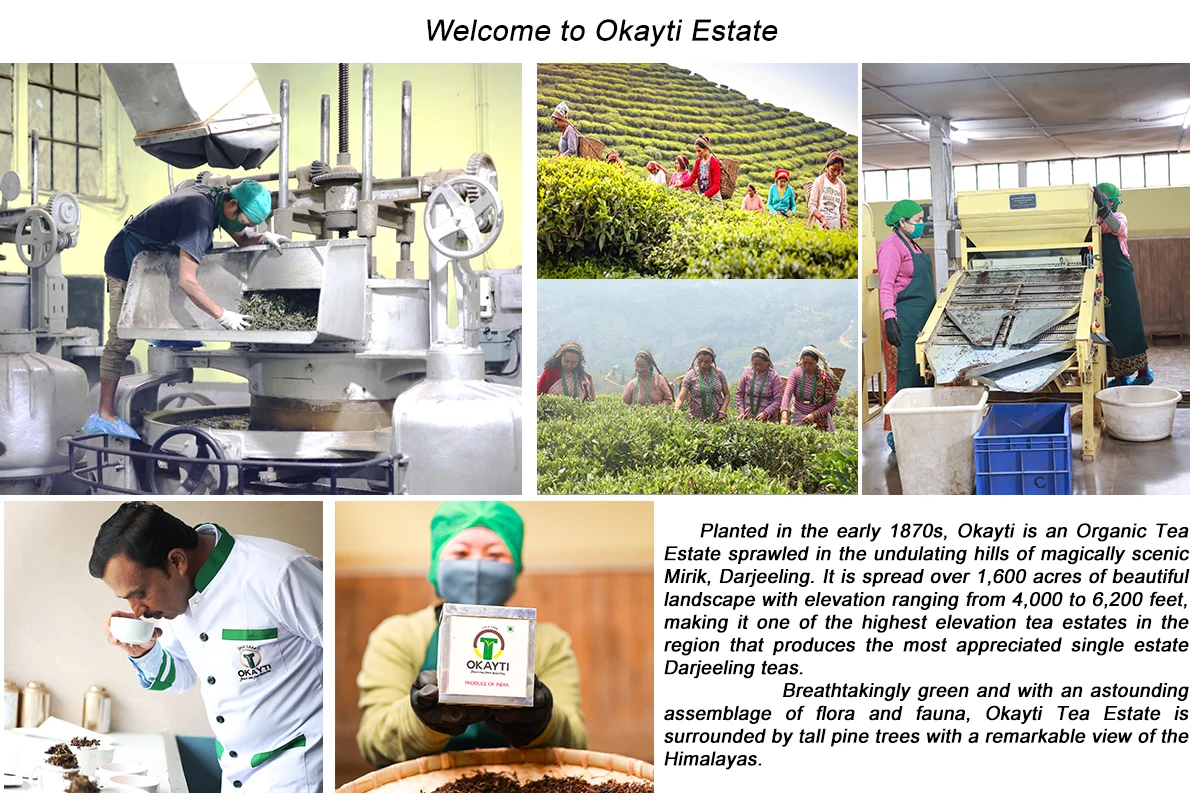 AMAN TEA DISTRIBUTORS PRIVATE LIMITED