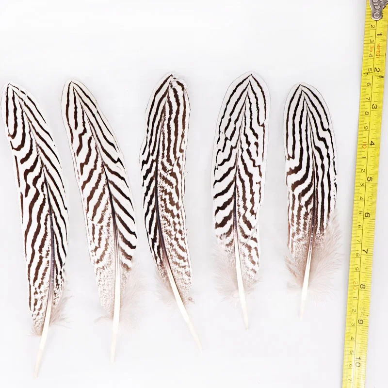 
8-10 Inch(20-25 cm)High Quality Natural Patterned Silver Pheasant Wings Feather 