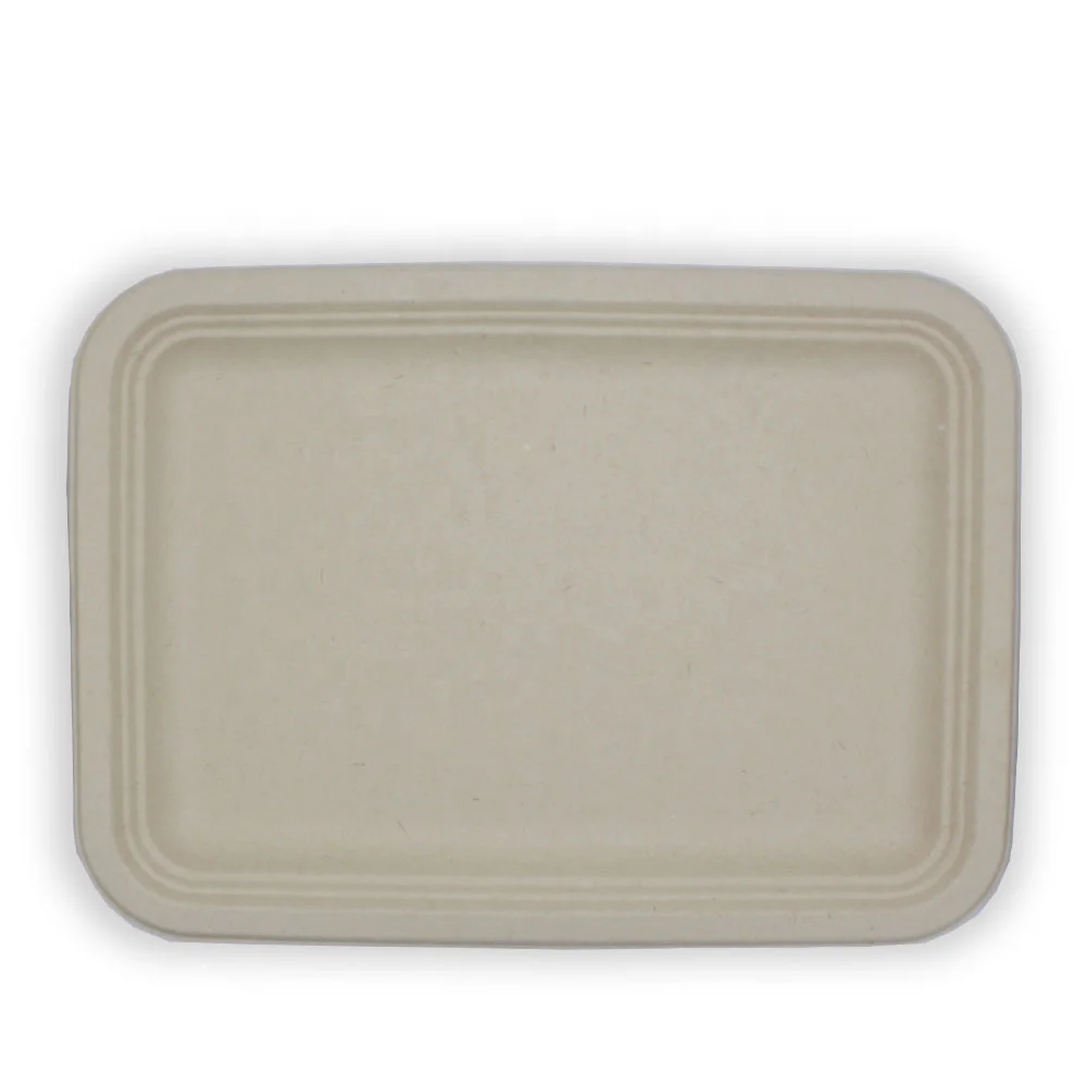 

Fancy Square Disposable Sugarcane Bagasse Plates Rectangle Disposable Plates for Food, Natural, white