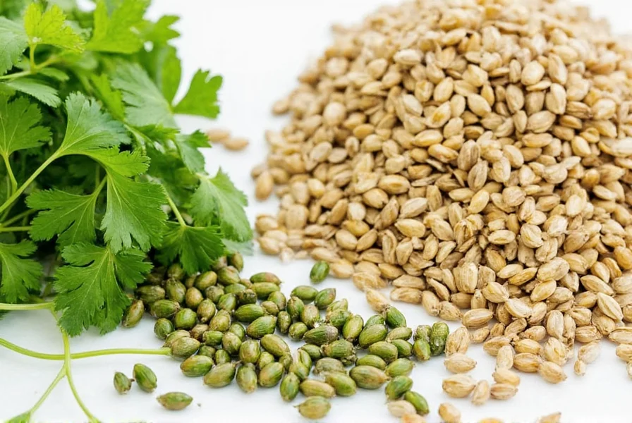 Spice blend showing coriander seed alternatives