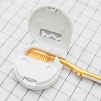 

Portable UVC Toothbrush Sterilizer