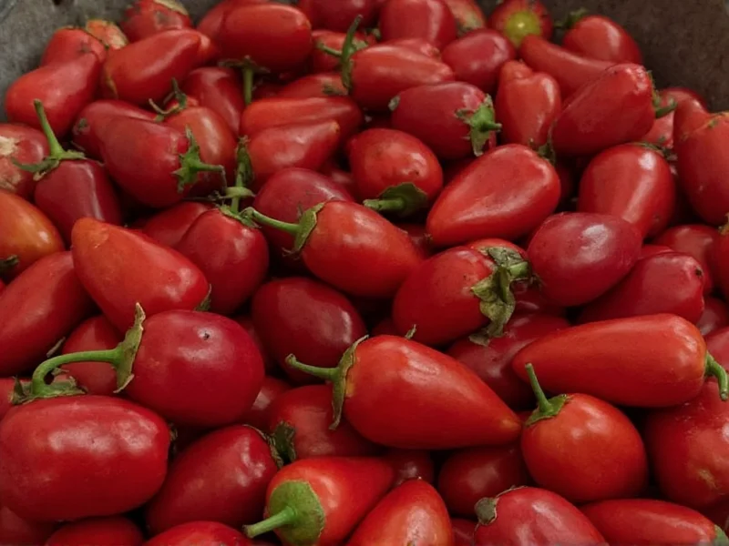 Chamoy Meme Explained: Internet Culture Phenomenon