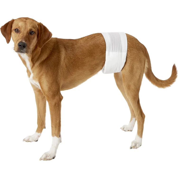 

Male Dog Diapers Dog Wraps Pet Cleaning & Grooming Products Wood Cotton with Factory Price Eco-friendly Stocked Not Applicable, Customized