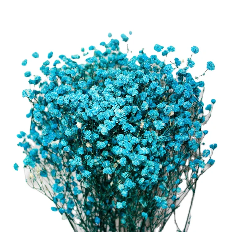 

2022 New arrival popular decorative flowers real fresh preserved gypsophila