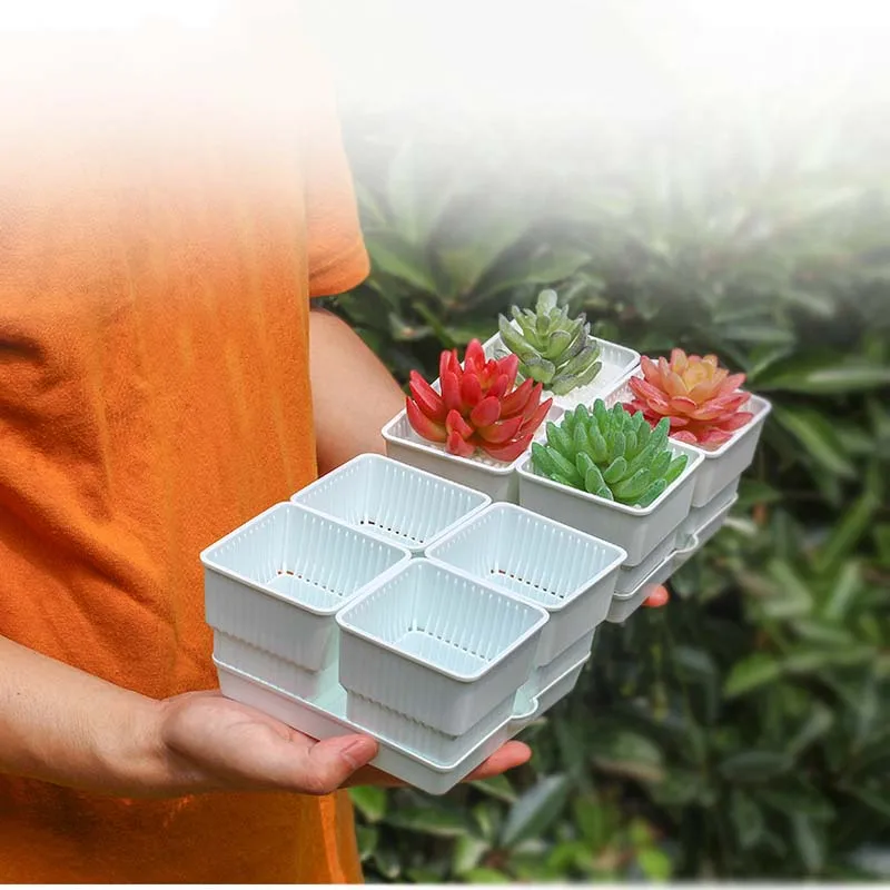 

high quality white/black Square succulent 4 pots with 1 tray plastic garden pot