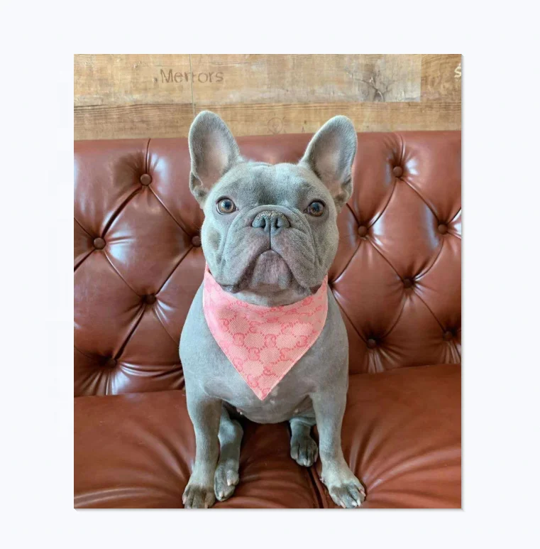 

Popular G pattern pet bandana set dog bandana logo