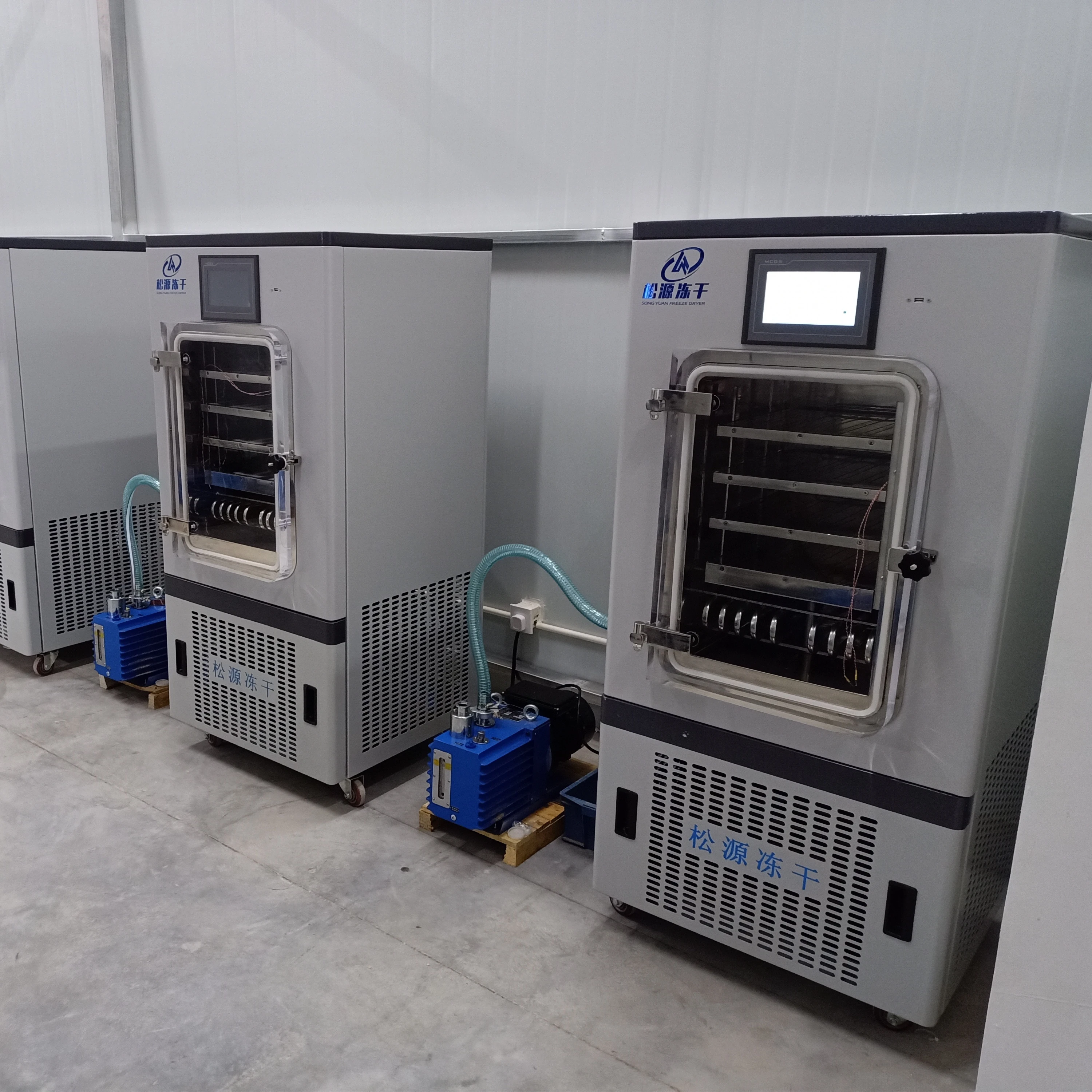 
Pilot Laboratory Lyophilizer Freeze Dryer China/in situ LGJ 30FD 