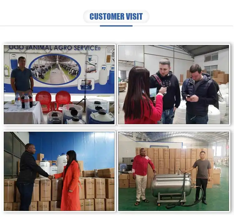 liquid nitrogen small capacity yds-10-210 semen tanks