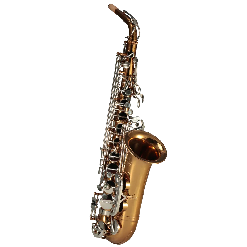 

Musical Instruments High F# Eb Key Golden Lacquer Alto Saxophone RSA-9902s, Gold