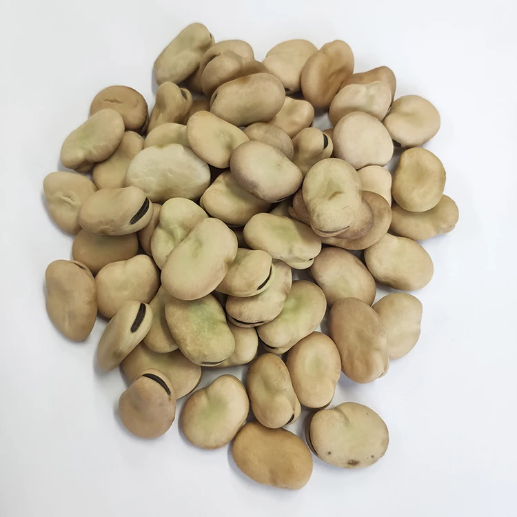
Chinese broad beans fava beans 40 50 beans/100g Qinghai origin 