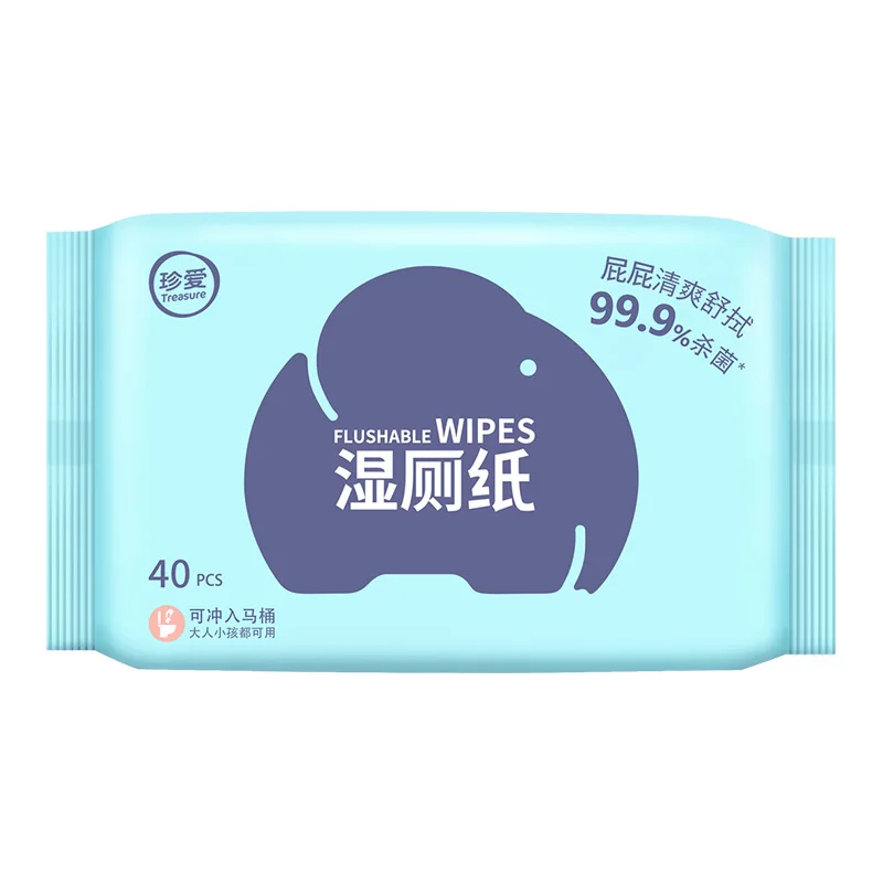 

RTS AB22 Toilet Wet Wipes Raw Material Biodegradable Toilet Wipes 40 Pcs Flushable Wet Wipe