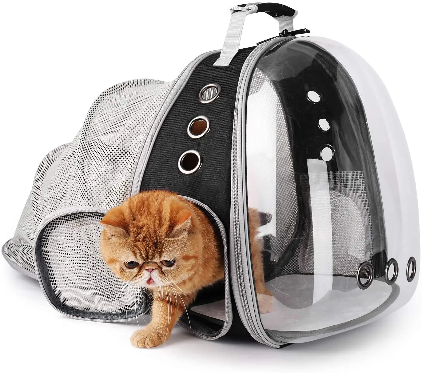 

Cat Handbag Space Capsule Breathable Transparent Puppy Cat Backpack Small Pet Travel Carrier Carrier Bag, Customized color