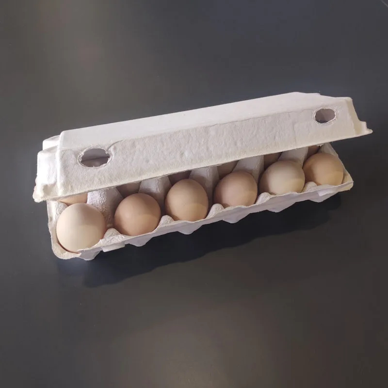Pt Pack 2021 Paper Egg Tray Factory Biodegradable Pulp Fiber Sugarcane