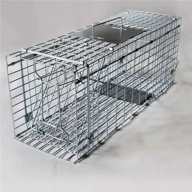 Animal Cage Trap Iguana Cages Traps Racoon Traps - Buy Cage,cheap 