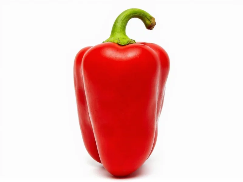 Scotch Bonnet Pepper Heat: 100,000-350,000 SHU Explained