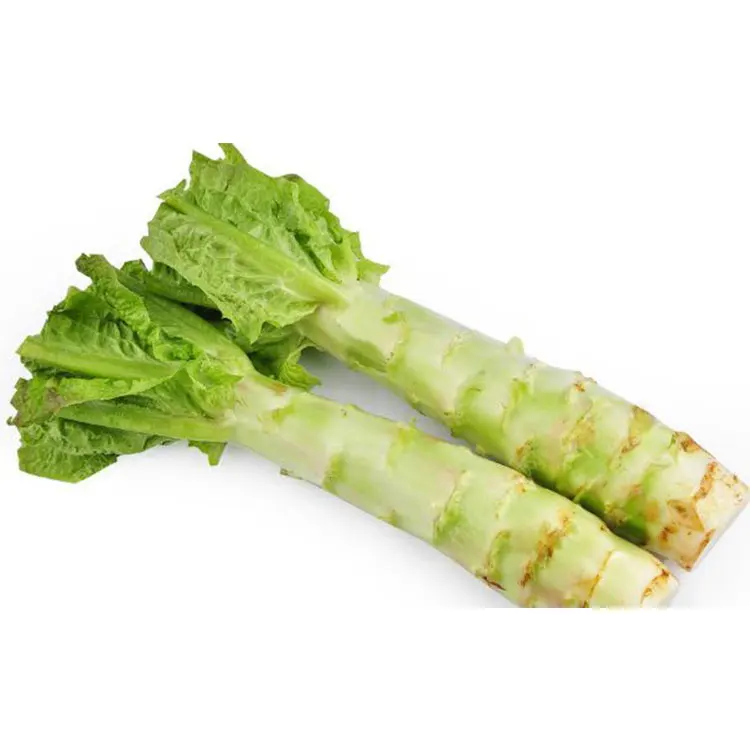 asparagus lettuce图片