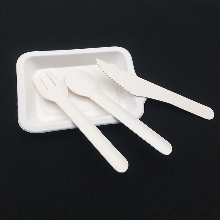 纸餐具套装100% 可生物降解一次性纸勺和叉子纸餐具