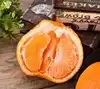Hot sell sweet spring tangerine for wholesale