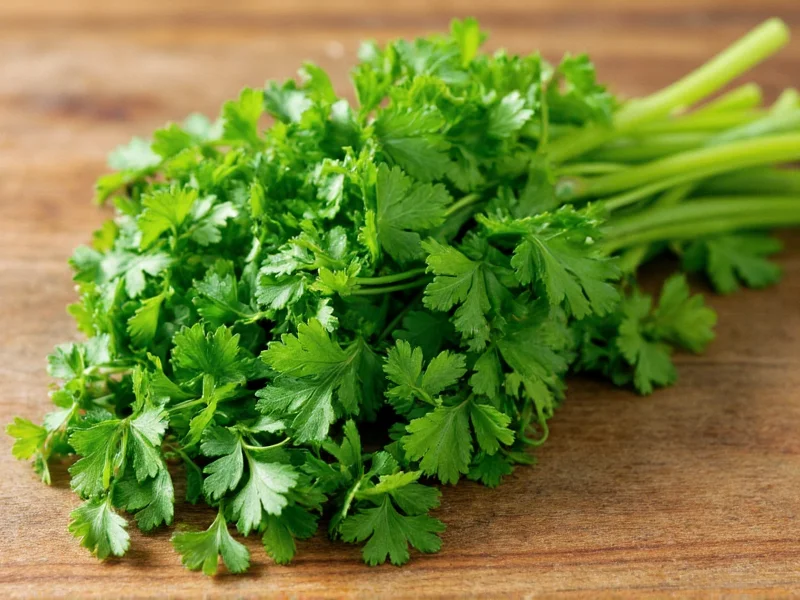 Koriander in traditioneller mexikanischer Küche