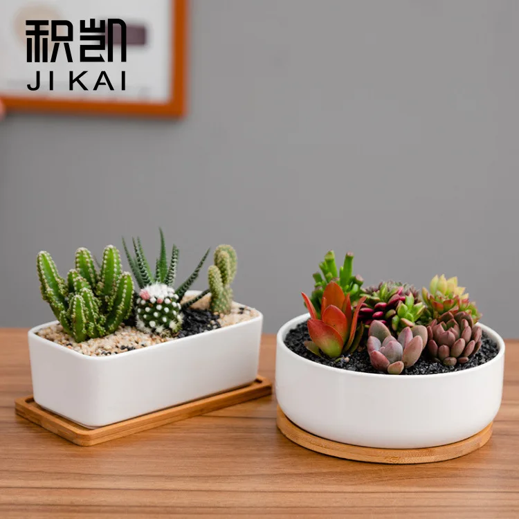 

New product whole white porcelain fleshy flowerpot with rectangular round tray, As picture