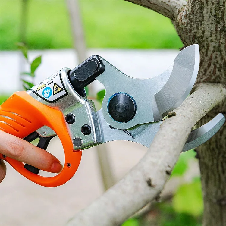 Pruning Shear38