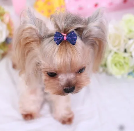 

Wholesale Fashion Cute Pet Accessories More Style Pet Hair Bows Pet Bow Tie, Print