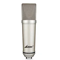 

Professional Studio Recording Microphone Condenser Low Price With box