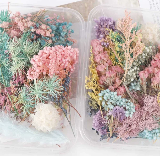 DIY materials dry flowers for candle resin mold use