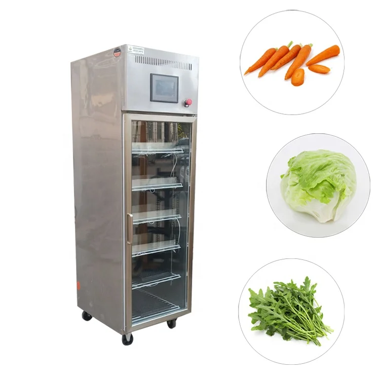 
Automatic salad vegetable planters, such as sesame, chicory and lettuce, come from sunlight machinery 