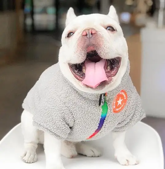 

Hot selling popular new velvet pet clothes winter warm pet dog jacket