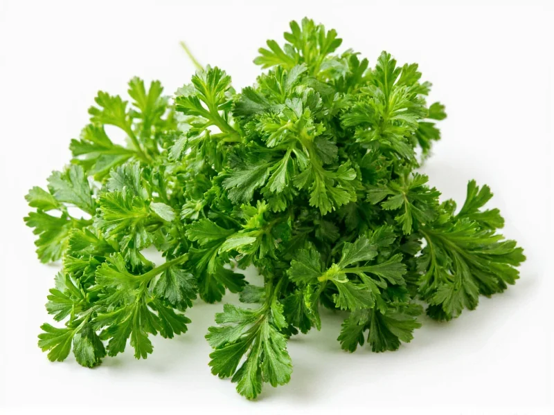 Fresh Parsley to Dried Conversion: Exact Measurements Guide