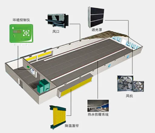2020价格肉鸡养殖机器鸡家禽育种房屋养鸡场设备