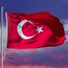 wholesale free sample customized printed my friend logo printing Turkey flags and banners