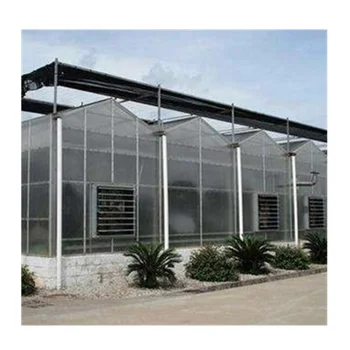 Complete Polycarbonate Sheet Agricultural Greenhouse Turnkey Project 