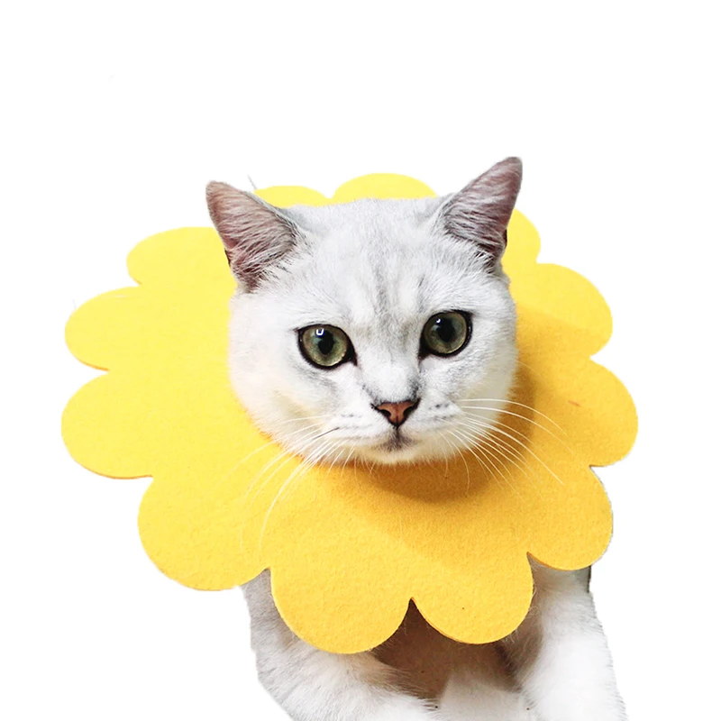 

Cat collar with felt cloth sunflower dog collars elizabethan collars, Picture