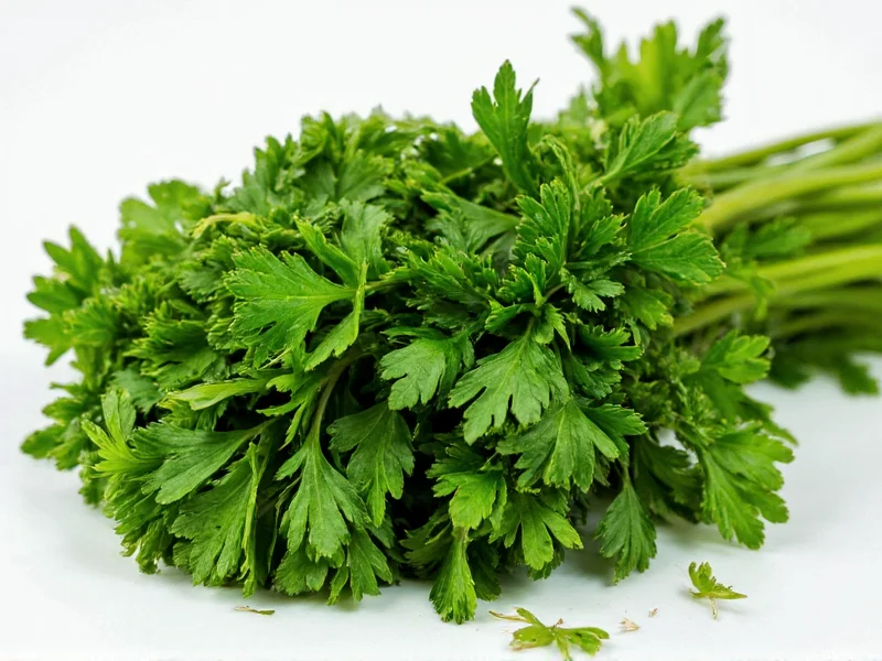 Fresh to Dried Parsley Ratio: The 3:1 Conversion Guide