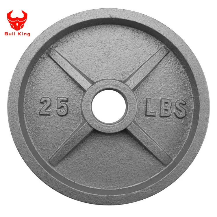 PLATES EN FONTE NEUVES - Poids haltères (2.5 à 45lbs) - C