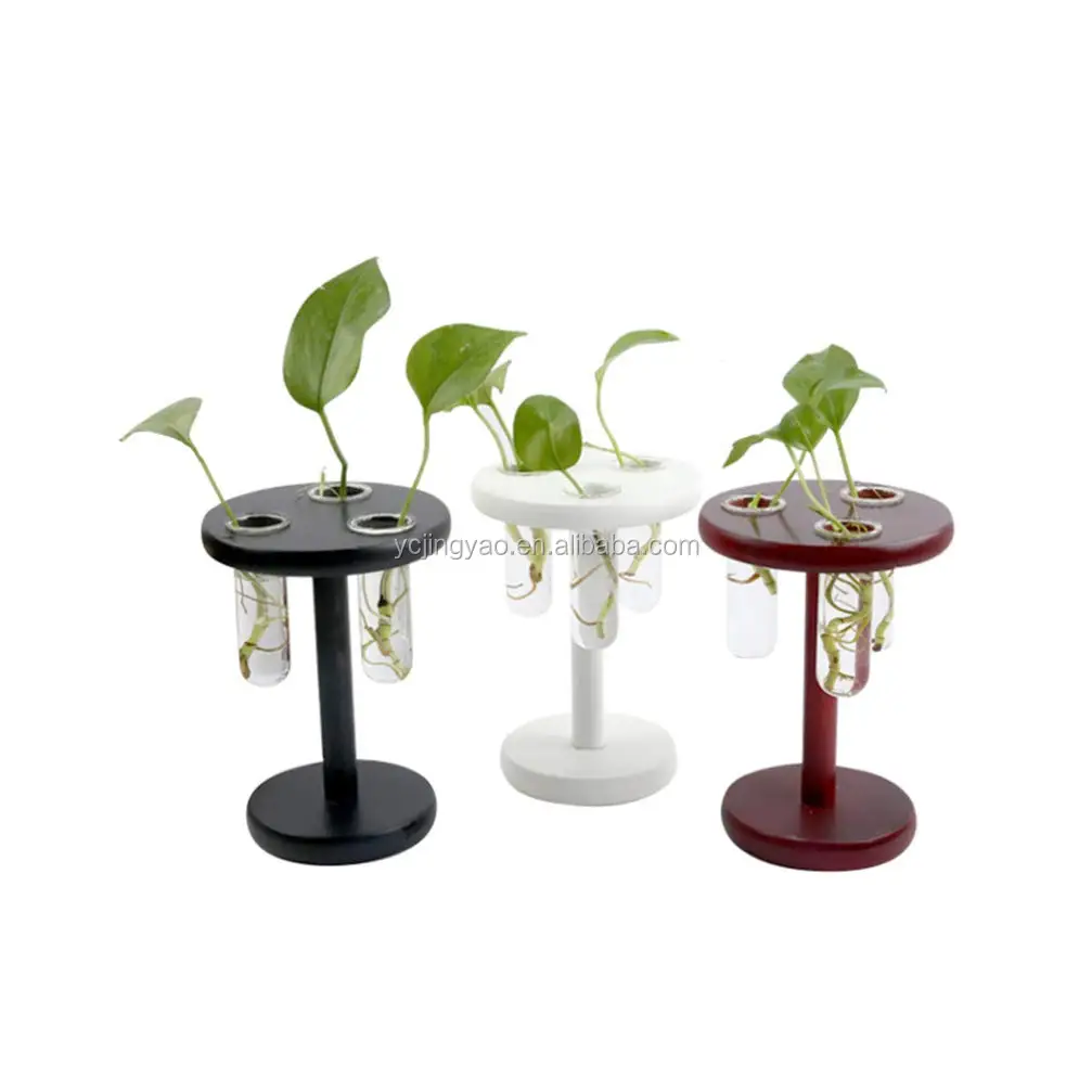 

Desktop Glass Planter Bulb Vase with Classic Wooden Stand for Hydroponics Plants Home Garden Wedding Decor, Red, black, white.