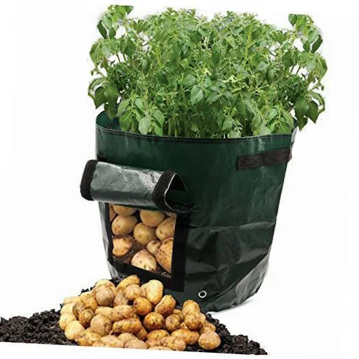 

potato grow bag 10 gallon growing bag for plant vegetable tomato bags, Green