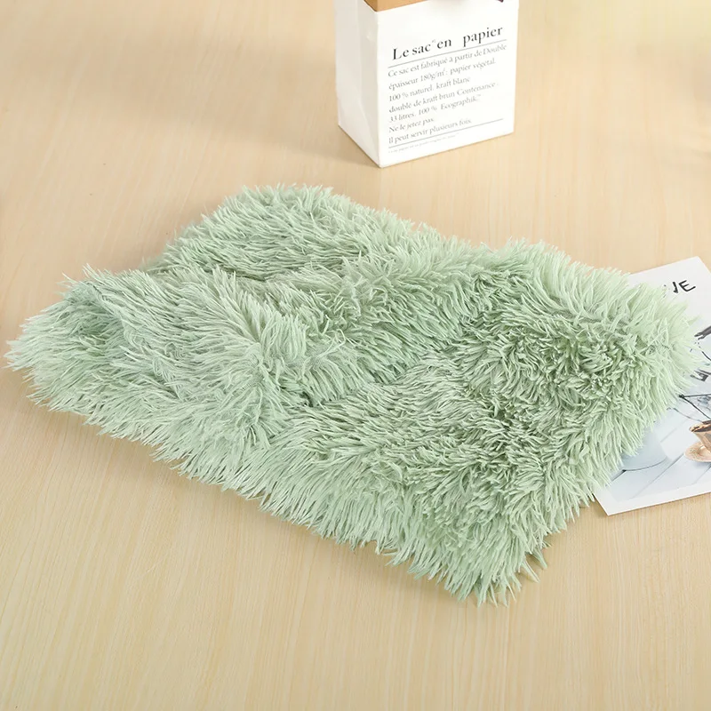 

Wholesale Pet Blanket For Dogs & Cats Thick Warm Premium Quality  Fruit Green Color