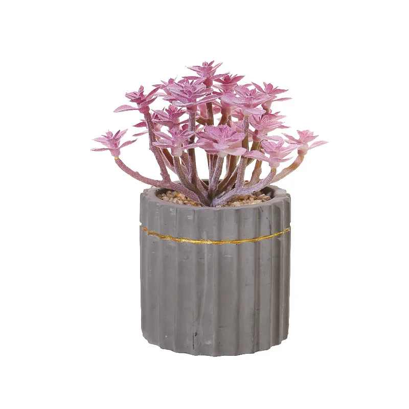 

Succulent Flowerpot Indoor Creative Decoration Plant Micro Landscape