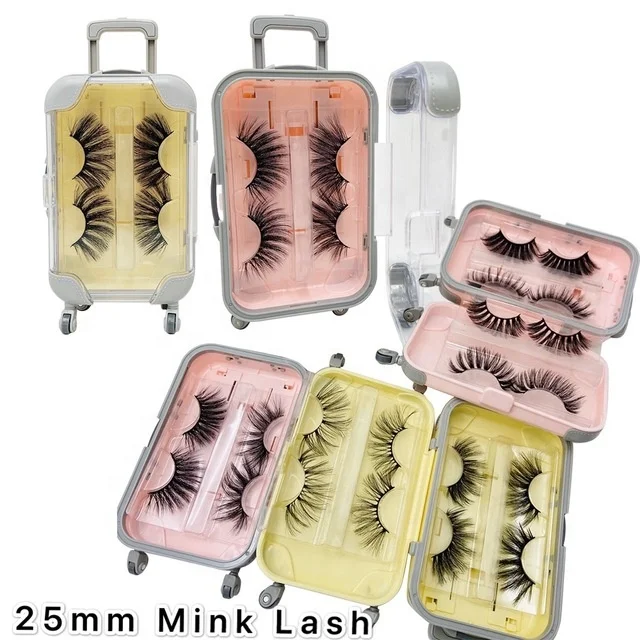 

BEAU FLY 2 Pairs Mini Luggage Case Mink False Eyelashes Natural Long False Eyelash with Box, Black