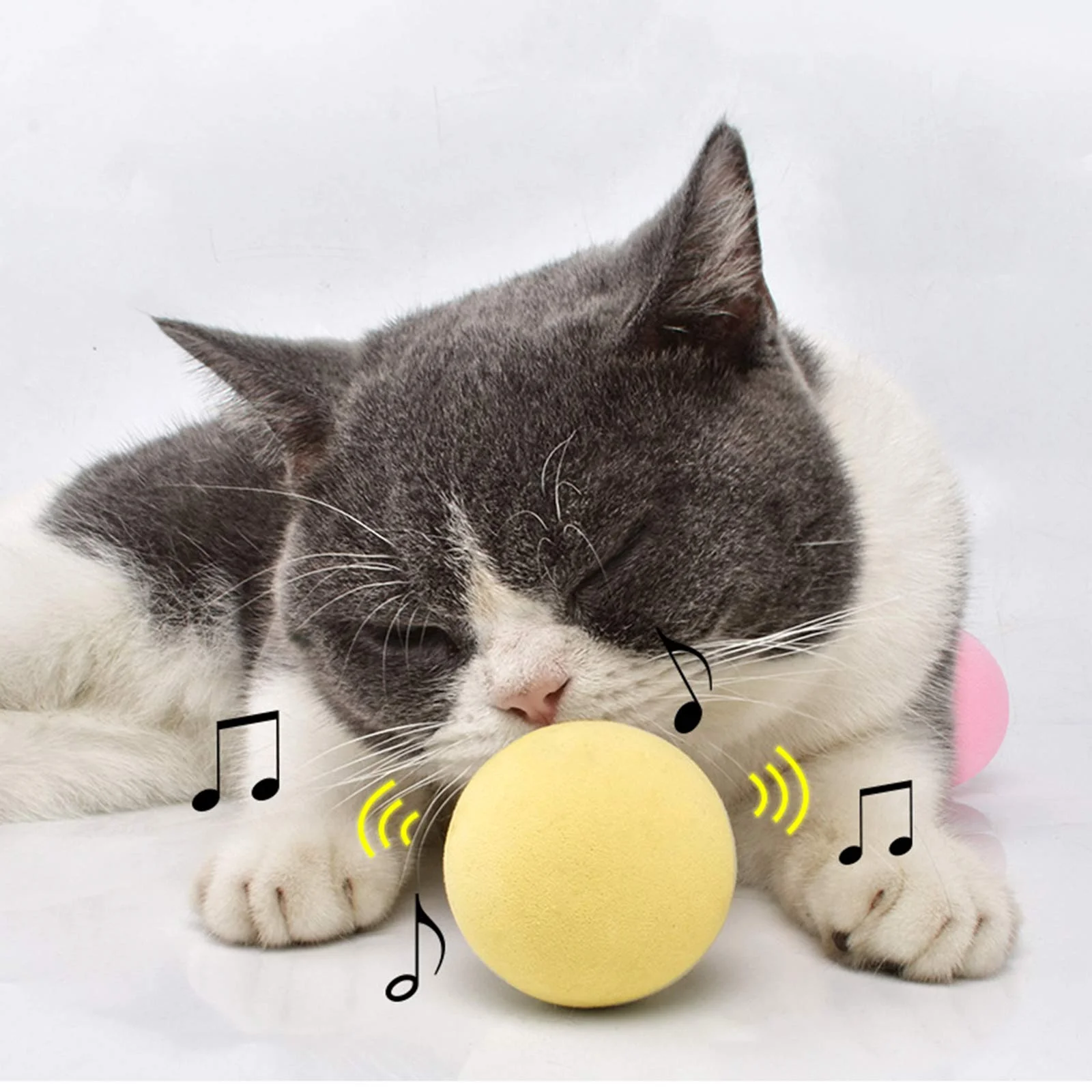 Smart Cat Toys Interactive Ball Catnip Cat Training Toy Pet Playing