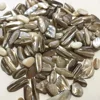 Wholesale 9-12mm natural Melon seeds shells crystal tumbled stone for home decoration
