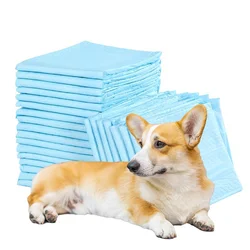 Hot selling puppy dog training pet toilet pee pads with OEM service