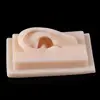Human Soft Silicone Left Ear Model Life Size Acupuncture Study Practice Tool Teaching Resources For Medical Science