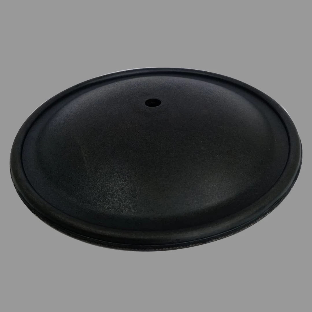 CF02-1060-51 Diaphragm factory