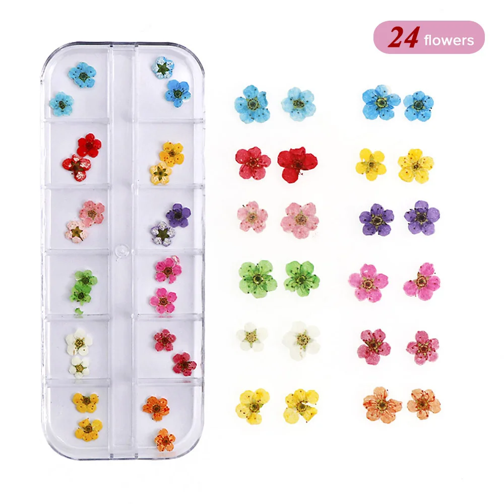 

3D Nail Art Decoration Real Dry Dried Flower For UV Gel Acrylic Nail