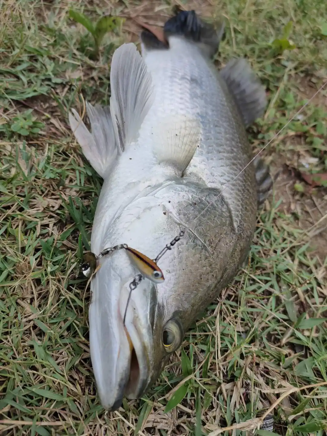 _20200820123646.jpg