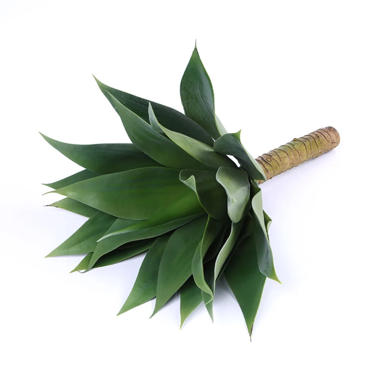 

2021 New Design Real Touch Indoor Out door decor Succulent Plant Artificial Agave, Green